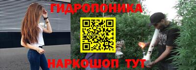 гашик Краснодар