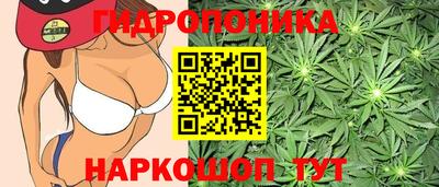 соль курить ск Краснознаменск